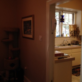 central-la-kitchen-remodeler