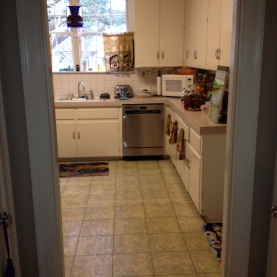 garden-district-kitchen-renovation-img1