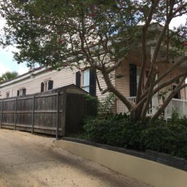 before-historical-restoration-crape-myrtle-trees