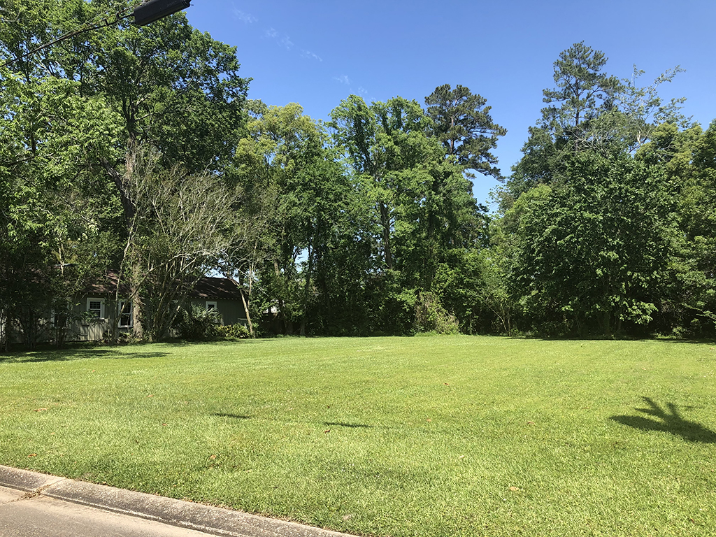 Baton Rouge Home Builder with Empty Lot